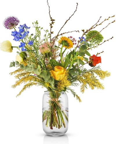 Eva Solo - Acorn Vaas 22 cm Clear - Glas - Transparant -