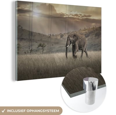 ® Glasschilderij 180x120 cm - Schilderij acrylglas - Olifant in het savannegebied in het Masai Mara National Park in Kenia - Foto op glas - Muurdecoratie woonkamer - Wanddecoratie slaapkamer - Schilderijen