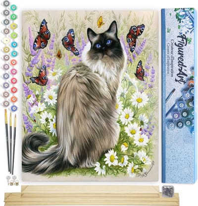 Figured'Art Schilderen op Nummer Volwassenen canvas Ontdekking van vlinders - Handwerk acrylverf Kit DIY Compleet - 40x50cm met DIY houten lijst