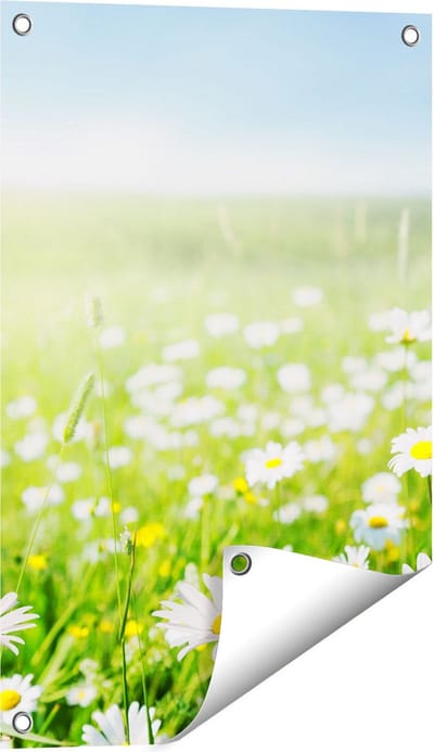 Gards Tuinposter Bloemenveld van Madeliefjes - Bloemen - 40x60 cm - Tuindoek - Tuindecoratie - Wanddecoratie buiten - Tuinschilderij
