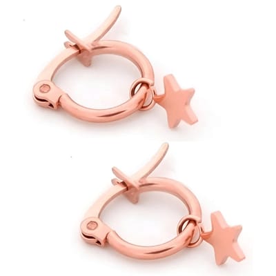 Aramat Jewels | Oorringen | Trendy Stalen Oorringen met Sterretje - 14mm | Rosékleurig | |2,5mm | Staal | Volwassenen | Verkleurd niet