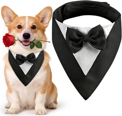 Hondenmok met Strik, Hondenhalsband voor Trouwen, Kostuum voor Honden op Feesten en Verjaardagen (Hals: 35-45 cm, Zwart) - Perfect voor Hondenliefhebbers, Feestaccessoires en Hondenmode