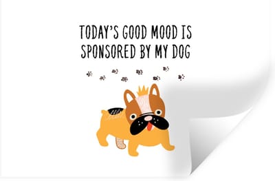 Muurstickers - Sticker Folie - Honden - Quotes - Today's good mood is sponsored by my dog - Spreuken - 30x20 cm - Plakfolie - Muurstickers Kinderkamer - Zelfklevend Behang - Zelfklevend behangpapier - Stickerfolie