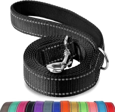 Hondenriem met gevoerd handvat, dubbelzijdige reflecterende nylon hondenlijnen voor training, wandelriem voor grote, middelgrote honden, 1,8 m × 2,5 cm