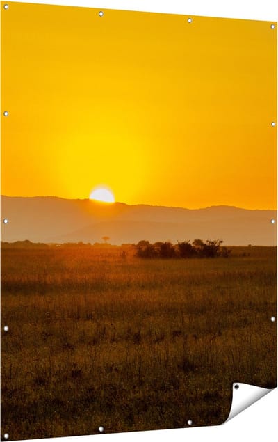 Gards Tuinposter Zonsopgang in de Savanne met een Boom - 120x160 cm - Tuindoek - Tuindecoratie - Wanddecoratie buiten - Tuinschilderij