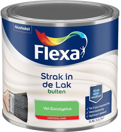 Flexa - Strak In De Lak Buitenlak Hoogglans - Vol Eucalyptus - Mengverf - 500 Ml