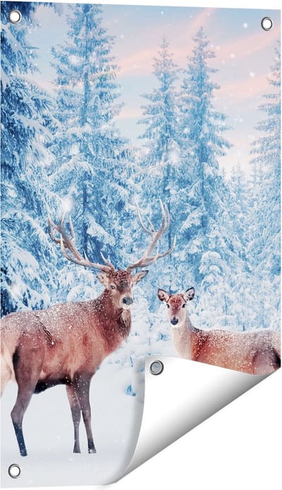 Gards Tuinposter Twee Herten in het Bos met Sneeuw - 40x60 cm - Tuindoek - Tuindecoratie - Wanddecoratie buiten - Tuinschilderij