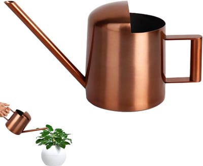 Mini gieter 300ml roestvrij staal voor kleine planten en vetplanten