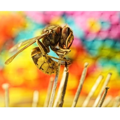 3D bricolage diamant broderie point de croix peinture  abeille amour fleur  diamant peinture décoration de la maison 20X30CM brown