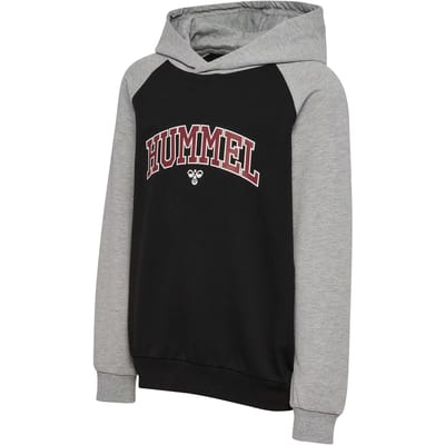 Hummel kinderhoodie Hmlessen 227669