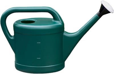 Gieter Tuingereedschap - Sproeiketel Planten - Planten Water Geven - Lange Besproeiingsuitloop - 10 Liter - Groen