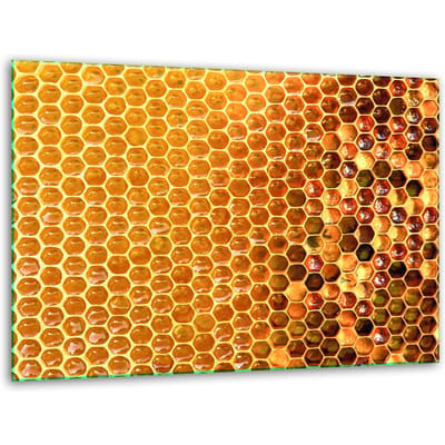 TMK ArtDeko - Snijplank Glas - 40x30cm - Antislip Voetjes - Vaatwasserbestendig