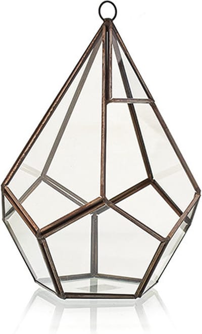 Glazen Terrarium - Grote Piramide