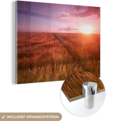 MuchoWow® Glasschilderij 40x30 cm - Schilderij acrylglas - Grasveld - Zon - Avond - Landschap - Foto op glas - Schilderijen