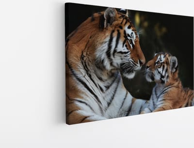 Saammp Canvas Schilderij - Tijger met welp - Natuur - Dieren - 30x20 - Foto op canvas - Wanddecoratie - muurdecoratie Woonkamer - Slaapkamer decoratie - Canvas Print