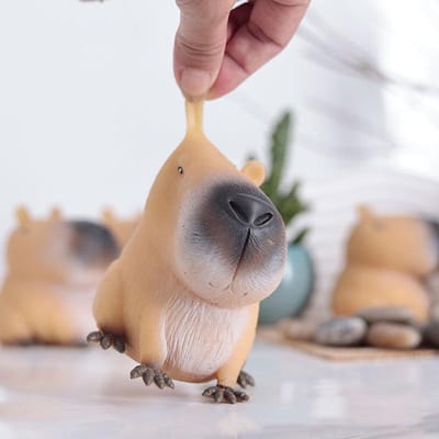 Hoge Kwaliteit Capybara Hoge Kwaliteit Anti Hoge Kwaliteit Stress Hoge Kwaliteit Fidget Speelsets Hoge Kwaliteit Voor Hoge Kwaliteit Angst Hoge Kwaliteit