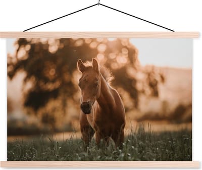 Posterhanger incl. Poster 150x100 cm - Schoolplaat - Paard - Licht - Landschap - Textielposter - Blanke latten