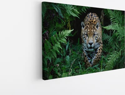 Saammp Canvas Schilderij - Jaguar in de natuur- Dieren - 45x30 - Foto op canvas - Wanddecoratie - Muurdecoratie Woonkamer - Slaapkamer decoratie - Canvas Print