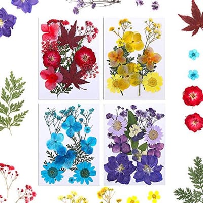 DIY Gedroogde Geperste Bloemen en Bladeren Set - 48 Stuks voor Ambachten en Decoratie - 4 Kleurensets