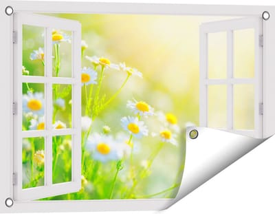 Gards Tuinposter Doorkijk Witte Kamille Bloemen met Zonneschijn - 60x40 cm - Tuindoek - Tuindecoratie - Wanddecoratie buiten - Tuinschilderij