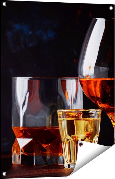 Gards Tuinposter Sterke Alcohol Drank - Glazen - 60x80 cm - Tuindoek - Tuindecoratie - Wanddecoratie buiten - Tuinschilderij