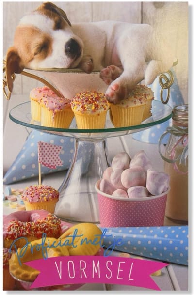 Vormsel Wenskaart Puppie - 12x17cm - Gevouwen kaart inclusief envelop - Heilig Vormselkaart