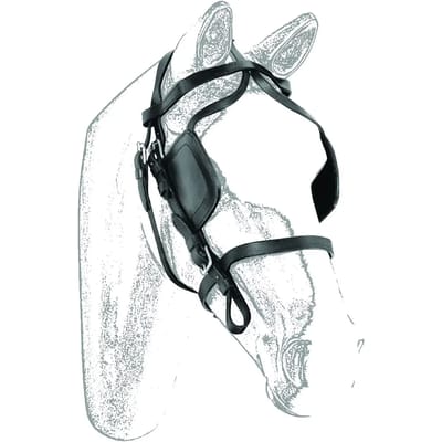 Hoofdstellen voor paarden Umbria Equitazione