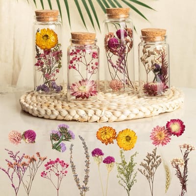 4x Gedroogde Bloemen in Glazen Vaasjes - Decoratie voor Huis en Bruiloft