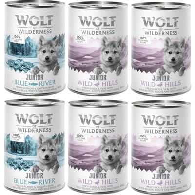 Junior Mixpakket Wolf of Wilderness Graanvrij Honden Natvoer
