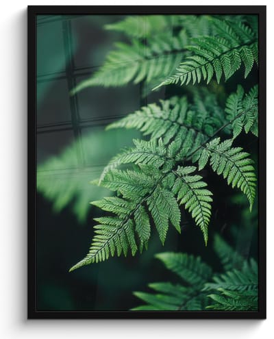 Poster in lijst - Fotolijst 60x80 cm - Posters - Varenblad - Groen - Structuur - Wazig - Posterlijst zwart - Decoratie - Wanddecoratie woonkamer - Muurdecoratie slaapkamer