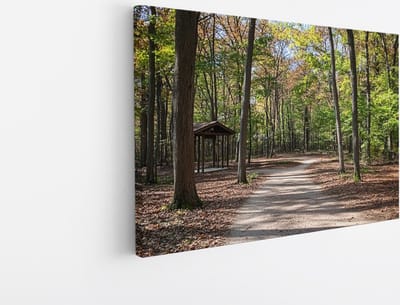 Saammp Canvas Schilderij - Nederlands bos- Natuur - Landschap - 45x30 - Foto op canvas - Wanddecoratie - Muurdecoratie Woonkamer - Slaapkamer decoratie - Canvas Print