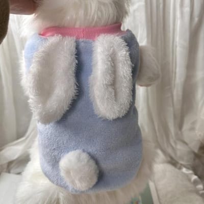 Herfst Winter Pluche Vest voor Huisdieren Schattige Konijnenoren Pluche Kleding Hondjas Kant Konijnenoor Teddy Vest Designer Honden Puppy Kleding S