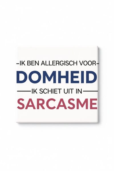 Grappige Sarcasme Keramische Tegel – Nederlandse “Allergisch voor Domheid” Quote Wanddecoratie Cadeau voor Thuis en Kantoor
