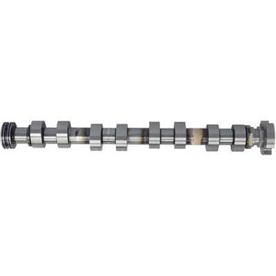 Nokkenas  FRECCIA CM05-2358
