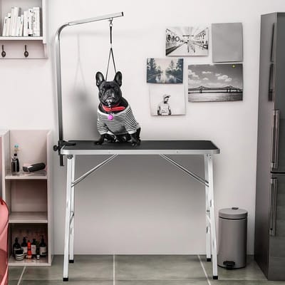 Pugsdrly - Verzorgingstafel voor Huisdieren - Opvouwbaar - Met Beugel - Rubberen en Krasbestendige Tafelblad - Geschikt voor Honden en Katten