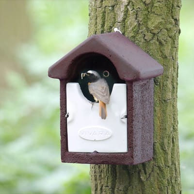 CJ Wildlife Nestkast - Aanbevolen door de Vogelbescherming Nederland - Barcelona - Nestkastje voor o.a. Roodborstjes & Winterkoninkjes - Woodstone Vogelhuisje - FSC-gecertificeerd - Bruin