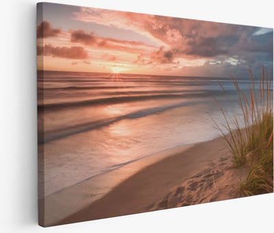 Saammp Muurcirkel Hout - 2 Paarden - Liefdevol - Natuur - Dieren - Ø 90 - Wandcirkel - Wanddecoratie Cirkel - Muurdecoratie Woonkamer - Slaapkamer decoratie - Rond Schilderij