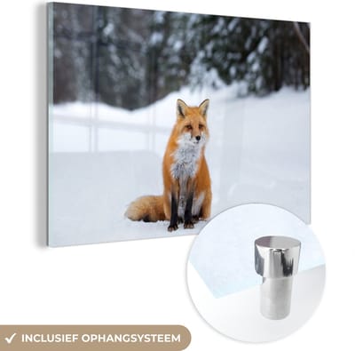 MuchoWow® Glasschilderij 120x80 cm - Schilderij acrylglas - Vos - Sneeuw - Bos - Foto op glas - Schilderijen