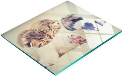 Decoratieve serveerplank van glas met katten- en hondenmotief, 60x52 cm