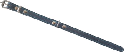 Jack and Vanilla Halsband / Hondenhalsband - Gevet Leder - Blauw - Breedte: 1 cm - Nekomtrek: 15 - 18,5 cm (GELIEVE ALVORENS BESTELLEN OPMETEN)