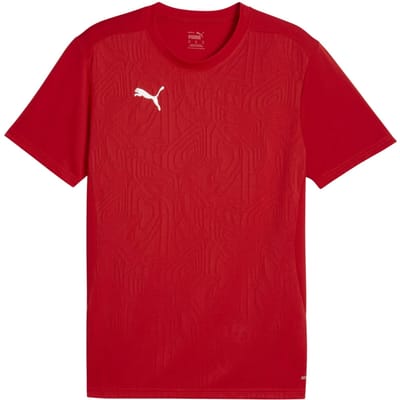Puma Heren TeamFinal Training T-shirt (Rood/zilver)