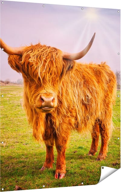 Gards Tuinposter Bruine Schotse Hooglander Koe - Kleur - 120x160 cm - Tuindoek - Tuindecoratie - Wanddecoratie buiten - Tuinschilderij