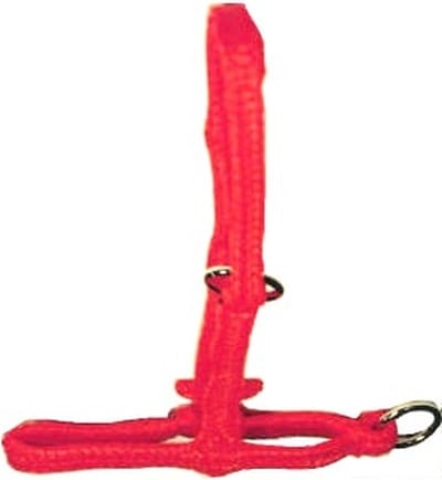 Verstelbaar Halster voor Rundvee - 25x10x4 - Excellent Halster - Kalf - Zeer sterk gevlochten Nylon - Oranje