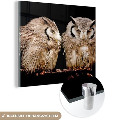 MuchoWow® Glasschilderij 50x50 cm - Schilderij acrylglas - Uil - Vogel - Zwart - Foto op glas - Schilderijen