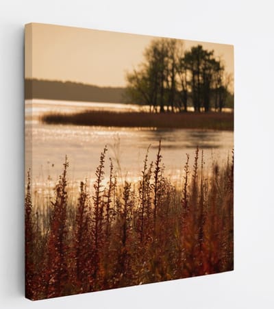 Saammp Canvas Schilderij - Water - botanisch - Landschap - Natuur - 20x20 - Foto op canvas - Wanddecoratie - Muurdecoratie Woonkamer - Slaapkamer decoratie - Canvas Print