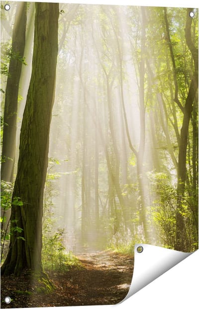 Gards Tuinposter Bos met Bomen en Zonneschijn - 60x80 cm - Tuindoek - Tuindecoratie - Wanddecoratie buiten - Tuinschilderij