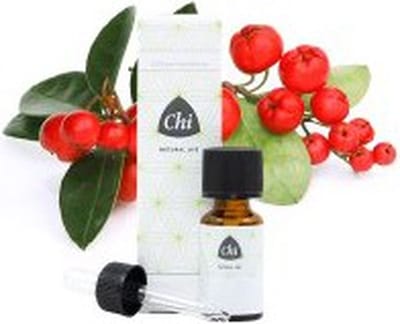 Chi Wintergreen Wild - 10 ml - Etherische Olie