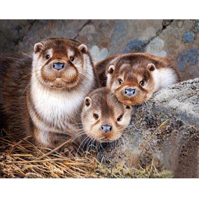 Volledige boor diamant schilderij otter diamant borduurwerk kruissteek strass dieren foto decor 20X30CM gray