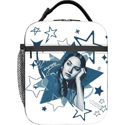Freya Skye Stars Align Tour Lunchtas Kawaii Lunchbox Buiten Picknick Draagbaar Geïsoleerd Thermische Lunchtassen Voor Volwassenen as picture