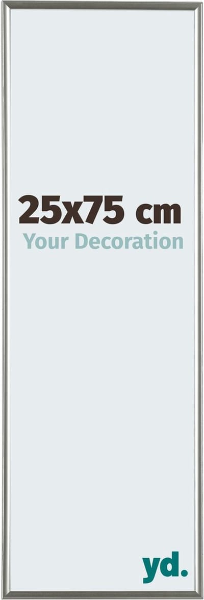 Your Decoration - Fotolijst 25x75 cm - Kunststof - Champagne - Evry